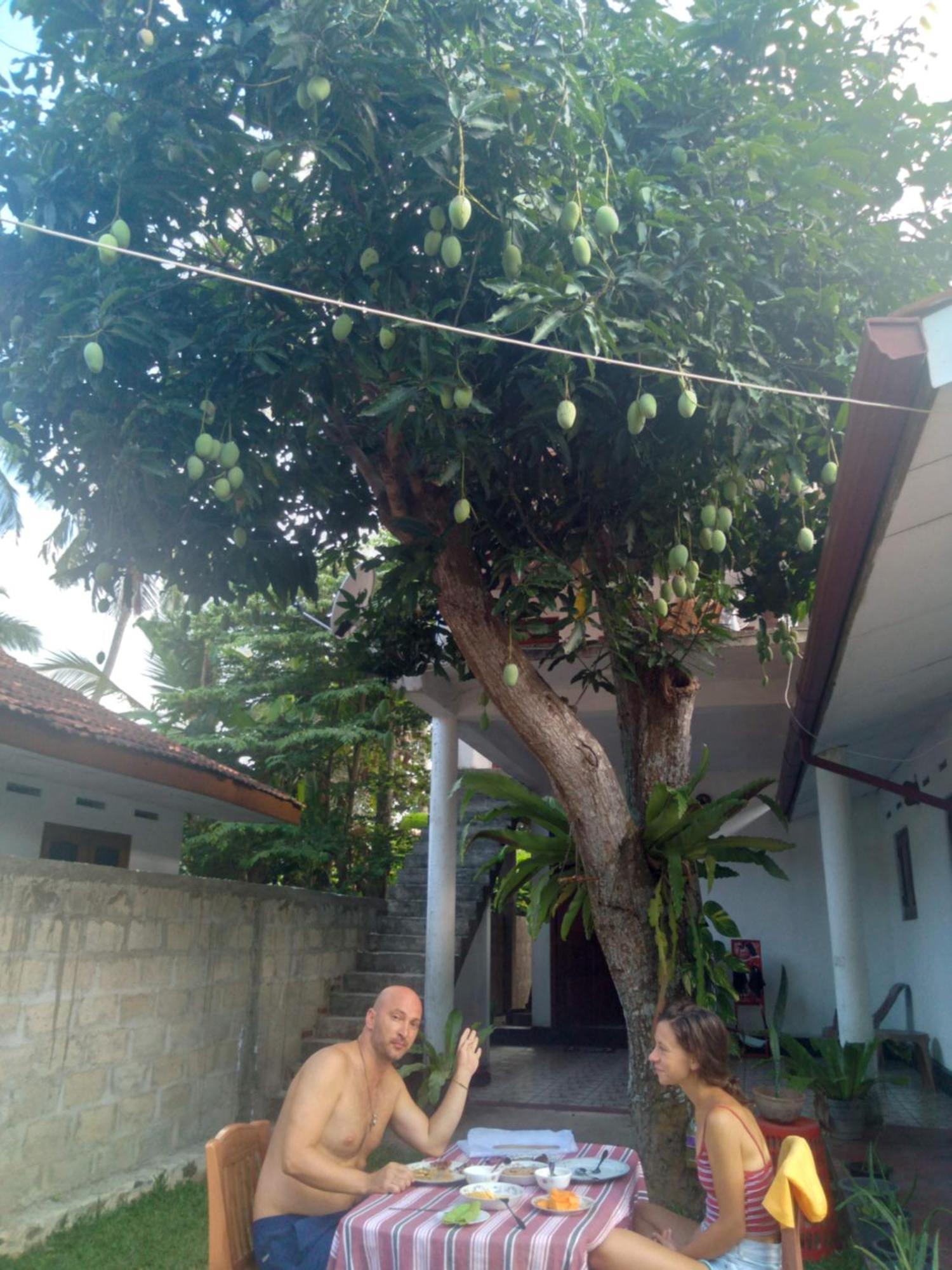 Sanithu Homestay And Villa Galle Exterior foto